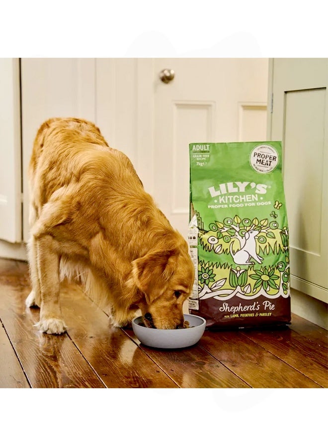 Lily's Kitchen Shepherd's Pie With Lamb Potatoes And Parsley Adult Dry Dog Food - 2.5 KG - Image 5