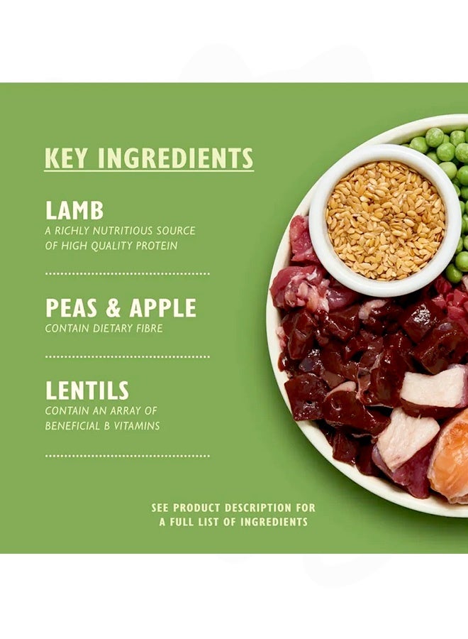 Lily's Kitchen Shepherd's Pie With Lamb Potatoes And Parsley Adult Dry Dog Food - 2.5 KG - Image 4
