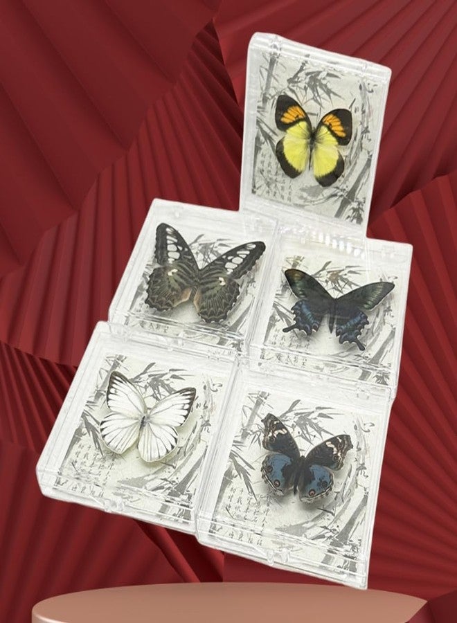 Wugakio 6pcs Collected Butterfly Specimen Display Box Educational Transparent Butterfly Showcase for Students for Home Decoration and Teaching Aid for Collectors and Nature Enthusiasts - Image 4