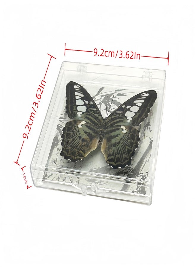 Wugakio 6pcs Collected Butterfly Specimen Display Box Educational Transparent Butterfly Showcase for Students for Home Decoration and Teaching Aid for Collectors and Nature Enthusiasts - Image 5