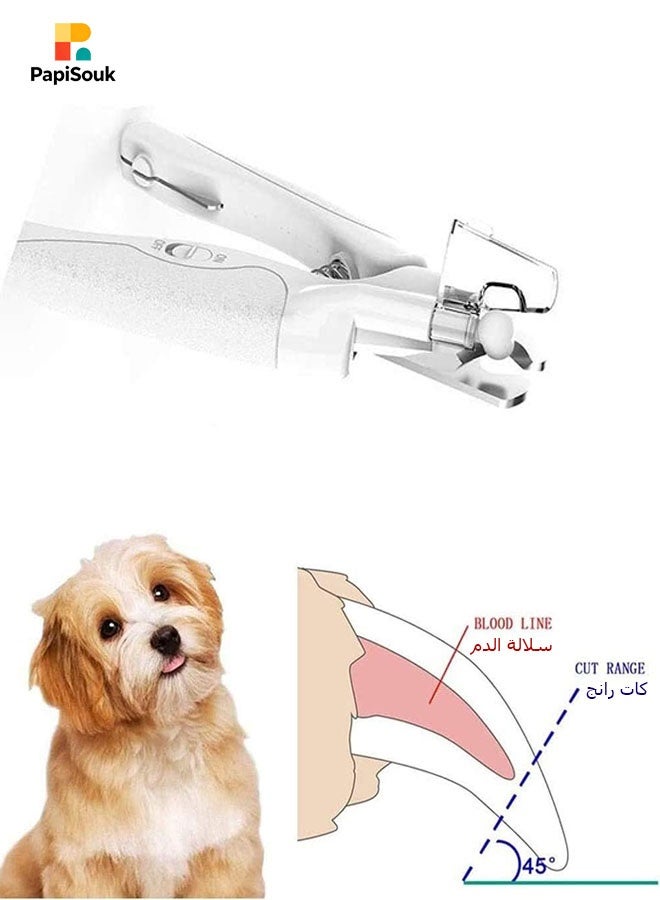 PapiSouk Pet Nail Clippers,Adjustable LED, splash-proof, built-in nail file | Suitable for cats and dogs of all sizes, safe grooming. - Image 3