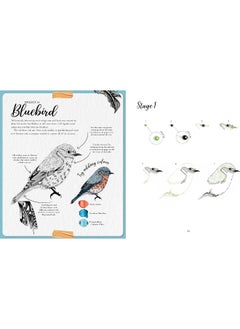 The Kew Book of Drawing Flora and Fauna: 20 Stunning Step-by-Step Tutorials  - Image 3