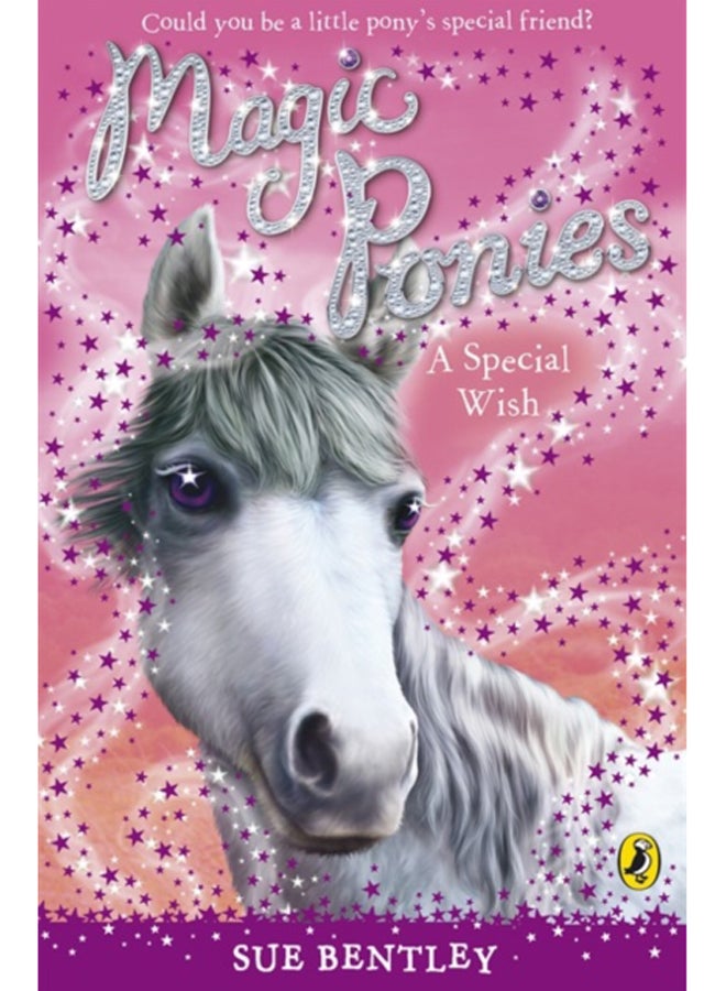 Magic Ponies: A Special Wish