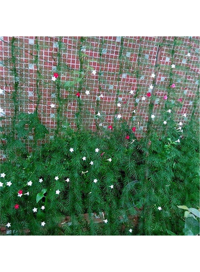 High-Grade Material Practical Climbing Net Durable In Use  - Image 3