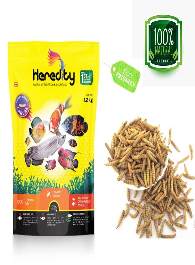 VAYINATO Adult Heredity Dried Black Soldier Fly Larvae (2400+) for Aquarium Fish, Birds and Reptiles - 200G (Buy 1 Get 1 Free) - Image 3