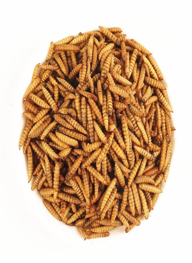 VAYINATO Adult Heredity Dried Black Soldier Fly Larvae (2400+) for Aquarium Fish, Birds and Reptiles - 200G (Buy 1 Get 1 Free) - Image 4