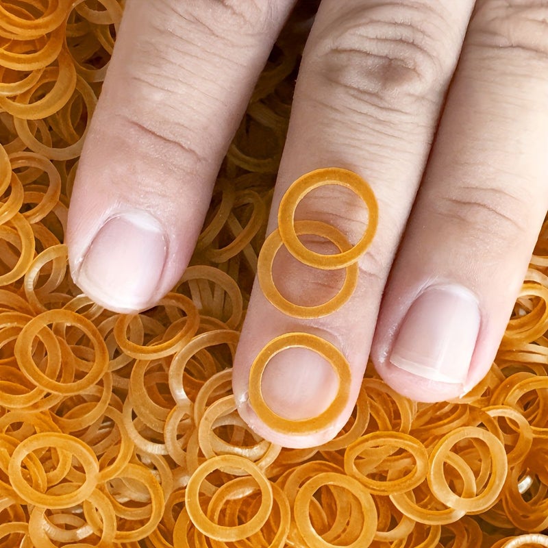 310pcs High Elasticity Yellow Rubber Bands 11mm Diameter for Office Industrial Use - Image 5