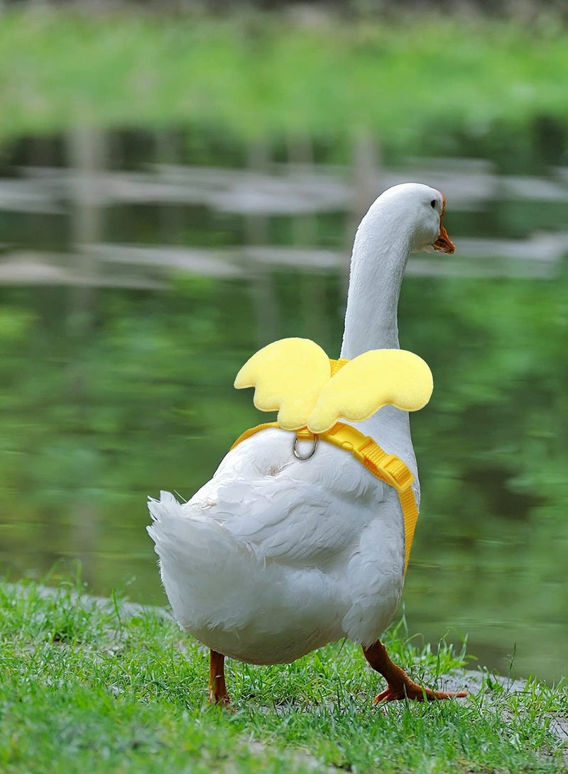 SOLARAE 4 Pcs Adjustable Pet Duck Harness and Leash Set - Comfortable Outdoor Walking Gear for Chickens, Geese, and Hens - Size S, Professional Design for Easy Use - Image 2