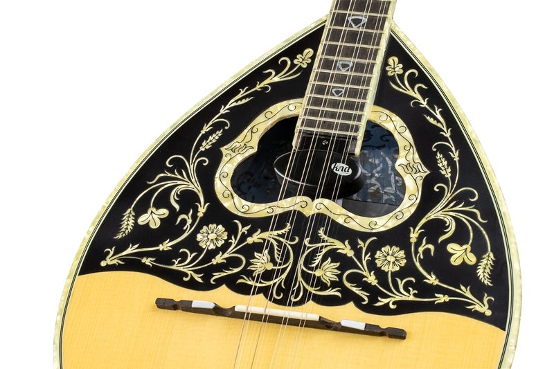 KNA BZ-1A Active Humbucking Soundhole Pickup for 8-String Bouzouki – Natural Acoustic Tone, Noise-Free Performance, Built-in Preamp, Easy to Install, for Live or Recording, Handcrafted in Europe - Image 1