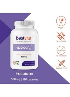 BESTVITE Fucoidan Extract 500mg (Standardized to 85% Fucoidan) (120 Vegetarian Capsules) No Fillers - No Stearates - No Flow Agents  - Image 3