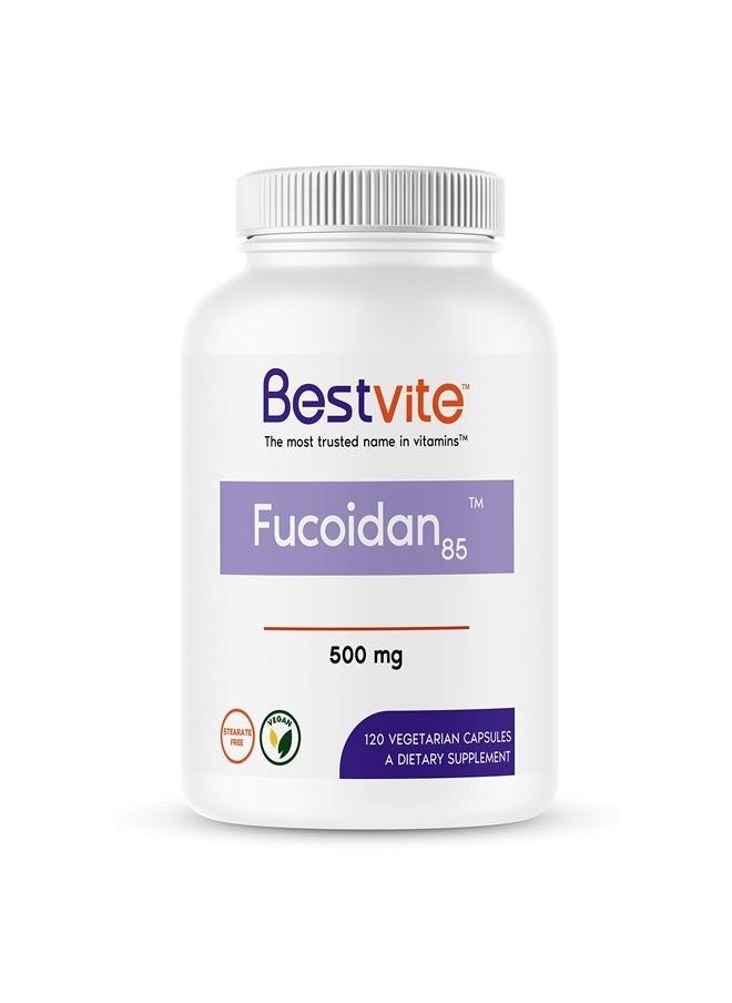 BESTVITE - Fucoidan Extract 500mg (Standardized to 85% Fucoidan) (120 Vegetarian Capsules) No Fillers - No Stearates - No Flow Agents - Image 1