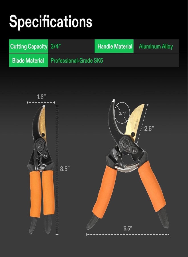 VIVOSUN 8.5" Bypass Pruning Shears for Gardening, Heavy-Duty Garden Scissors, Ultra Sharp Pruners with 3/4 in. Cut Capacity SK5 Blades, Thick Cushion-Covered Handle and Safety Lock - Image 2