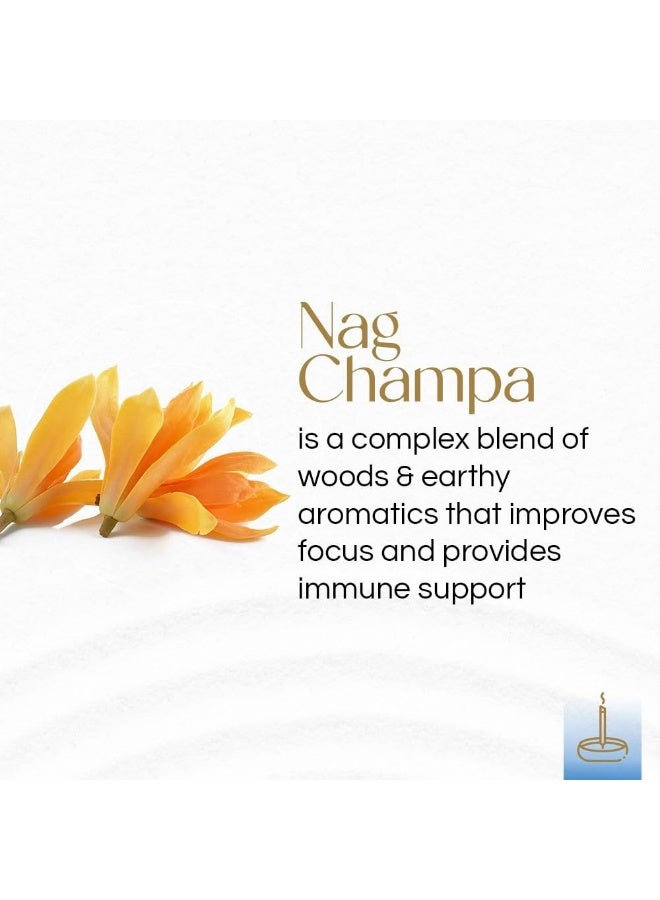 Gonesh - Extra Rich Scented Incense Sticks - Non-Toxic 10â€ Slow Burn Aromatic Sticks - Nag Champa - 100 Pack - Image 1