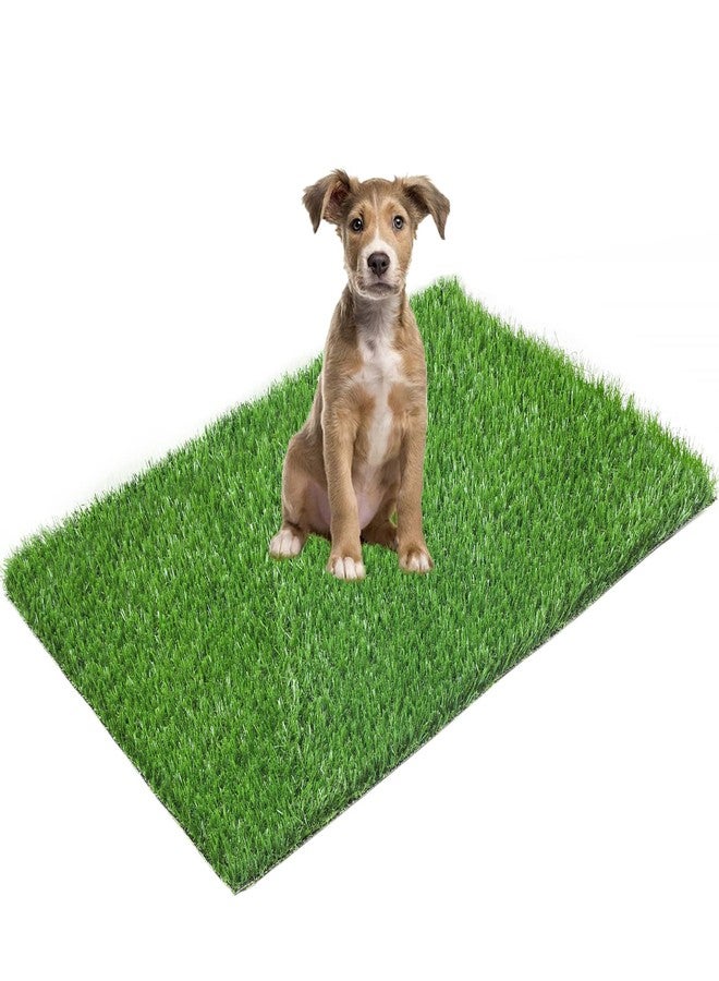 LOOBANI 35in x 23in Replacement Artificial Grass for Dogs, Potty Grass Mat with Drainage Holes, Super Easy Cleaning(1 Pack) - Image 1