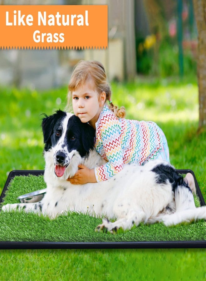 LOOBANI 35in x 23in Replacement Artificial Grass for Dogs, Potty Grass Mat with Drainage Holes, Super Easy Cleaning(1 Pack) - Image 4
