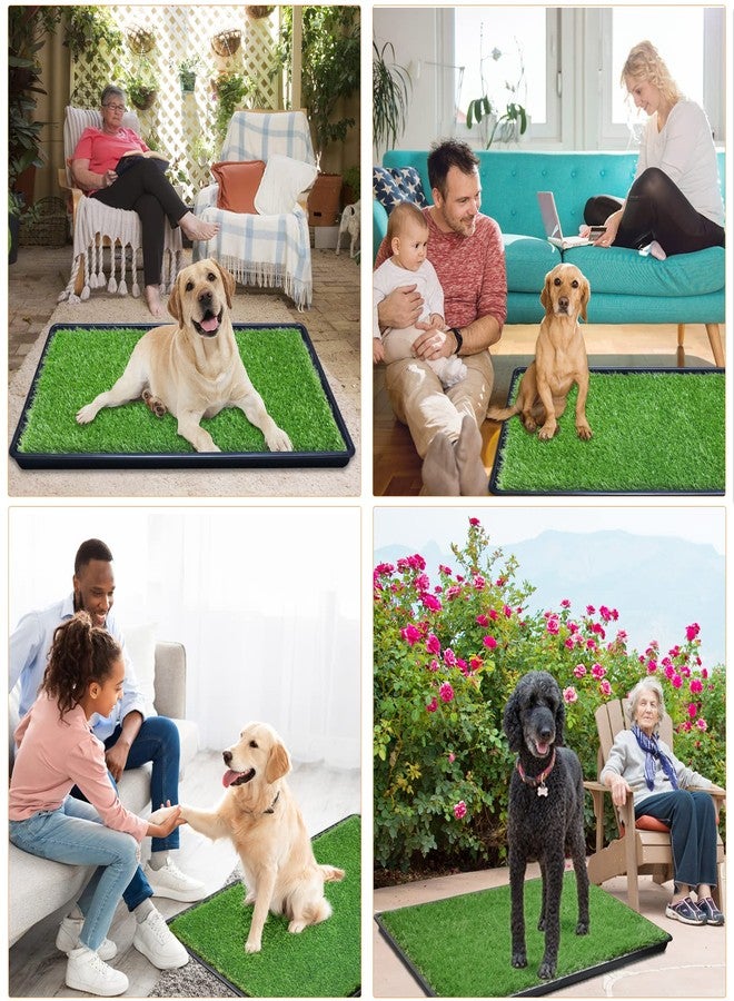 LOOBANI 35in x 23in Replacement Artificial Grass for Dogs, Potty Grass Mat with Drainage Holes, Super Easy Cleaning(1 Pack) - Image 5