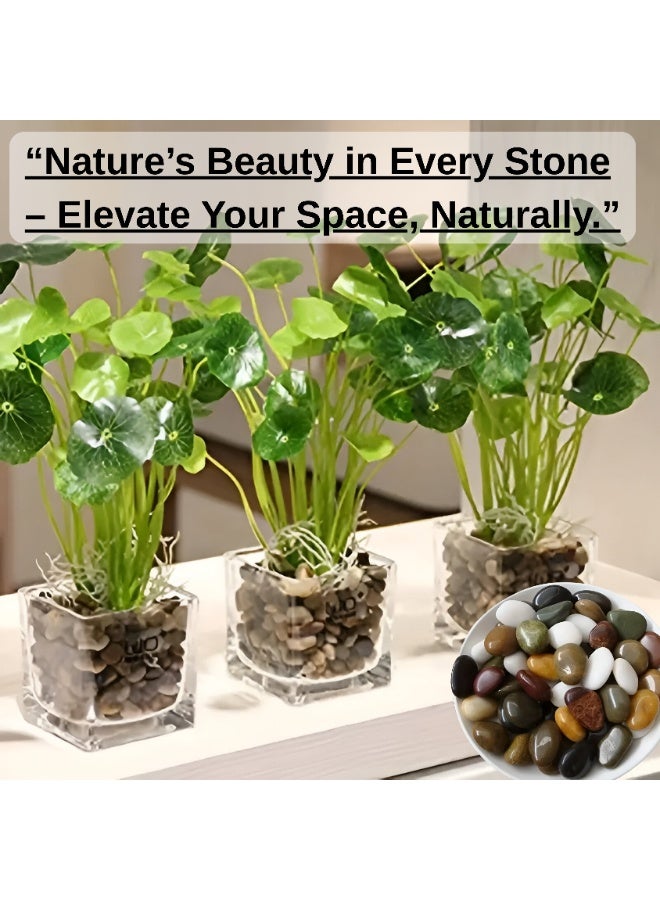 ARABIQO Mix Natural Decorative River Rock Stones 2.5 LB, Polished Garden Beach Pebbles for Vase Filler 2.5cm, Home Decor, Terrariums, DIY Crafts & Landscaping Projects - Image 3