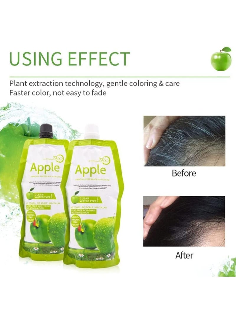 BLOOMING TIME - BLACK APPLE DYE FOR HAIR AND BEARD AMMONIA FREE - Image 1
