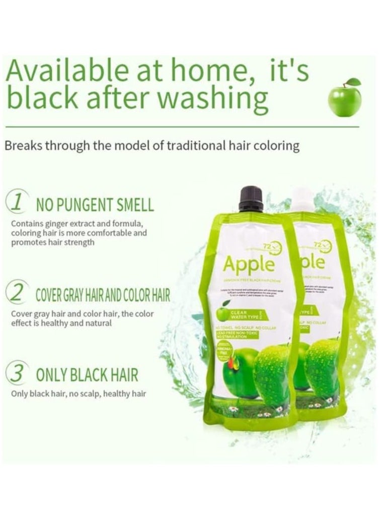 BLOOMING TIME - BLACK APPLE DYE FOR HAIR AND BEARD AMMONIA FREE - Image 1