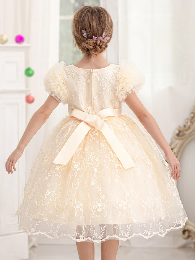 Take Two  Girls Floral Mesh All Lace Bow Detail Party Dress for Women | Best Price UAE