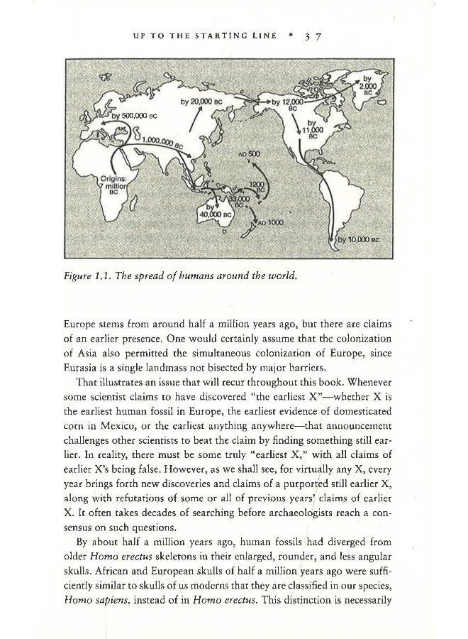 الأسلحة والجراثيم والفولاذ - Image 5