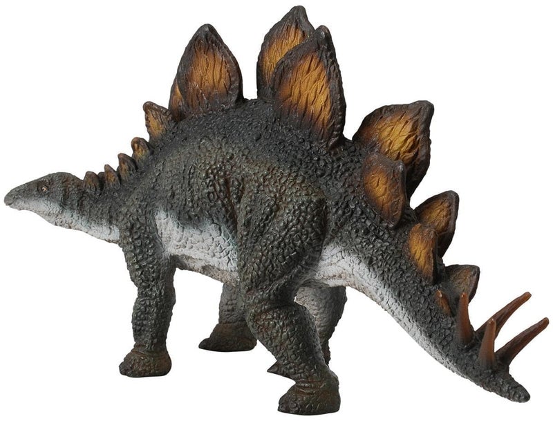 CollectA Stegosaurus Toy Dinosaur Figure - Authentic Hand Painted & Paleontologist Approved Model - Image 2