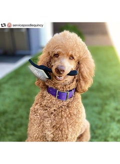 كريس كريستنسن فرشاة تمشيط الشعر من Big K Dog للكلاب (Goldendoodles، Labradoodles، Poodles)، للعناية بالشعر مثل المحترفين، وفك تشابك الشعر، وتوفير الوقت والطاقة، باللون الأسود، مقاس كبير  - Image 4