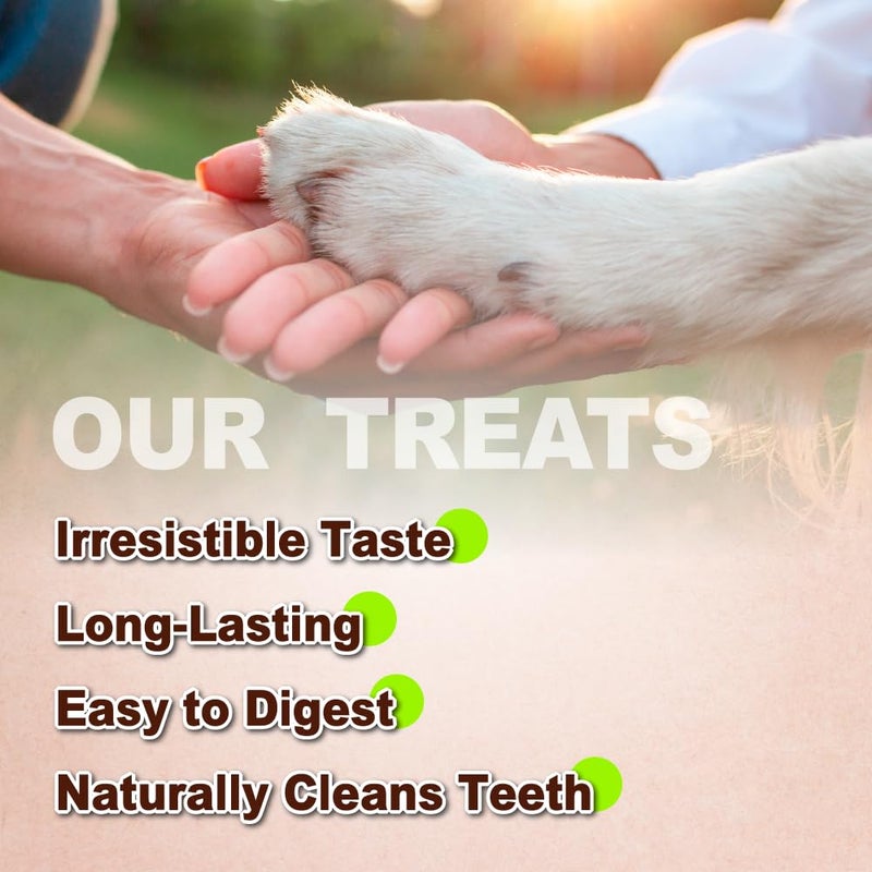 A Freschi srl Turkey Tendons for Dogs, USA-Sourced, Healthy Dog Treats, Rawhide-Free Puppy Chews, Long Lasting, All Natural, Hypoallergenic Dog Treats for Small Breeds, 3.53 oz Pack Strips - Image 4