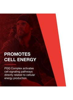 Protocol For Life Balance Protocol Pqq Complex Coq10 Acetyllcarnitine Vitamin B12 Energy 30 Veg Caps  - Image 3