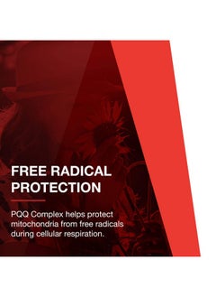 Protocol For Life Balance Protocol Pqq Complex Coq10 Acetyllcarnitine Vitamin B12 Energy 30 Veg Caps  - Image 5