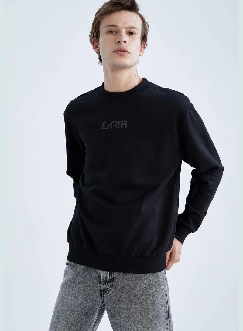 DeFacto Man Regular Fit Crew Neck Long Sleeve Knitted Sweatshirt