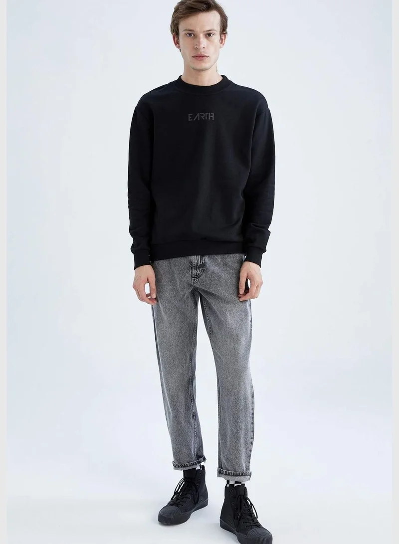 DeFacto Man Regular Fit Crew Neck Long Sleeve Knitted Sweatshirt