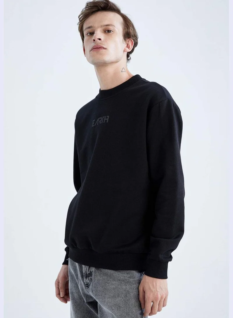 DeFacto Man Regular Fit Crew Neck Long Sleeve Knitted Sweatshirt
