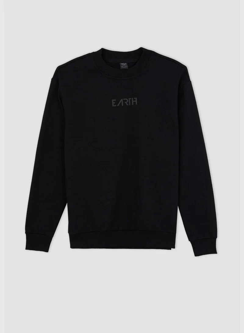 DeFacto Man Regular Fit Crew Neck Long Sleeve Knitted Sweatshirt