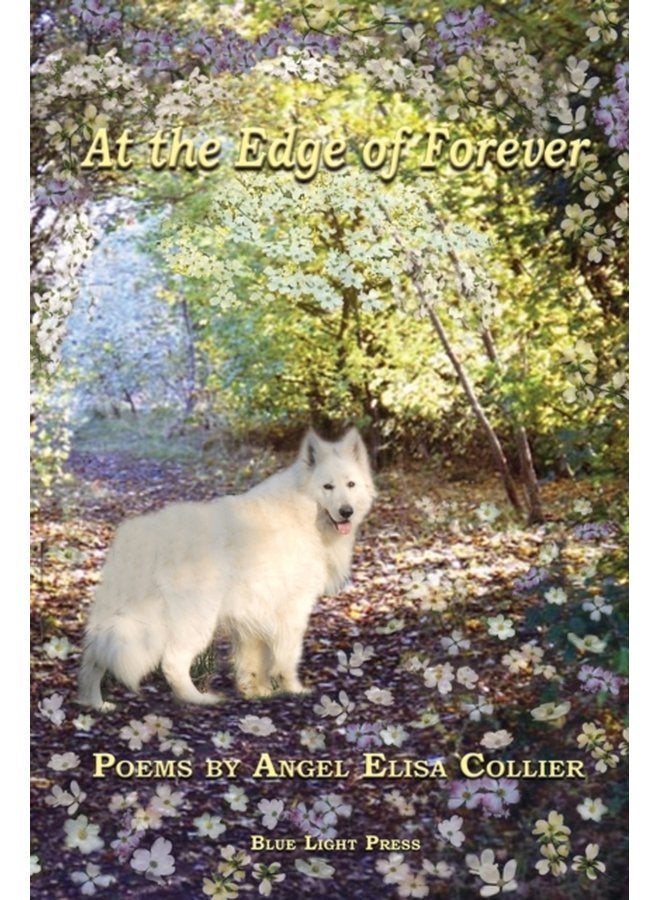 At The Edge Of Forever - Paperback