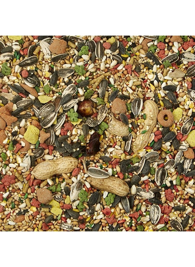 كايتي طعام فورتي دايت برو هيلث بيت للطيور الجارحة والطيور المحبة، 4 رطل - Image 3