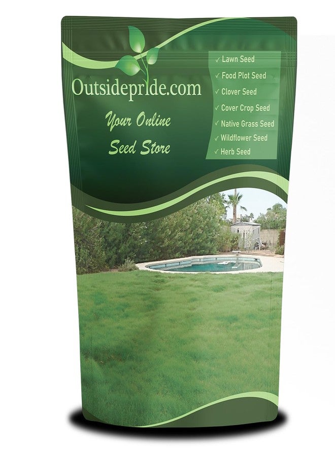 Outsidepride Xeriscape Native Prairie Grass Seed Mix - 1 lb. Perennial, Warm-Season, Cold & Drought-Tolerant, Fine Leaved, Dense Turf Grass Seeds for Lawn, Ground Cover & Arid Xeriscape Landscaping - Image 1