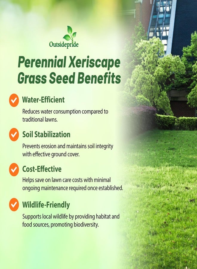 Outsidepride Xeriscape Native Prairie Grass Seed Mix - 1 lb. Perennial, Warm-Season, Cold & Drought-Tolerant, Fine Leaved, Dense Turf Grass Seeds for Lawn, Ground Cover & Arid Xeriscape Landscaping - Image 3