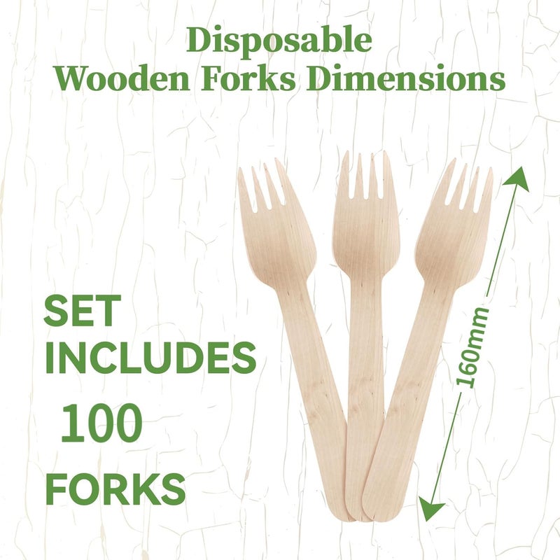 UREVO 100 Pack Disposable Wooden Forks - Eco-Friendly & Biodegradable, 160mm - Image 2