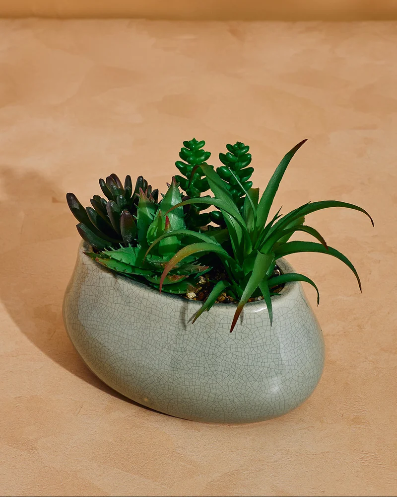 Redtag Green Artificial Succulent with Ceramic Pot