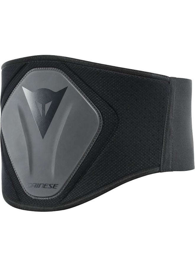 Dainese Unisex Lumbar Belt High Unisex Motorbike Lumbar Belt, Adult Lower Back Support, Semi-Rigid High Structure, Adjustable Lumbar Belt, Comfortable