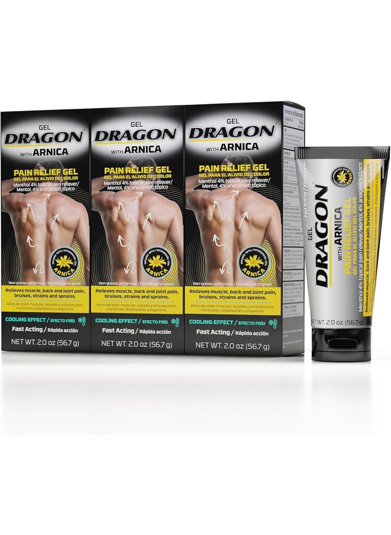 Dragon Dragon Pain Relief Gel with Arnica, Extra Strength Bruise Cream, Muscle Relaxer, Knee Pain Relief, Arnica Cream for Bruising, Shoulder Pain Relief, Hip, Ankle Sprain, Swollen Feet Relief, 2 oz, 3 PACK 