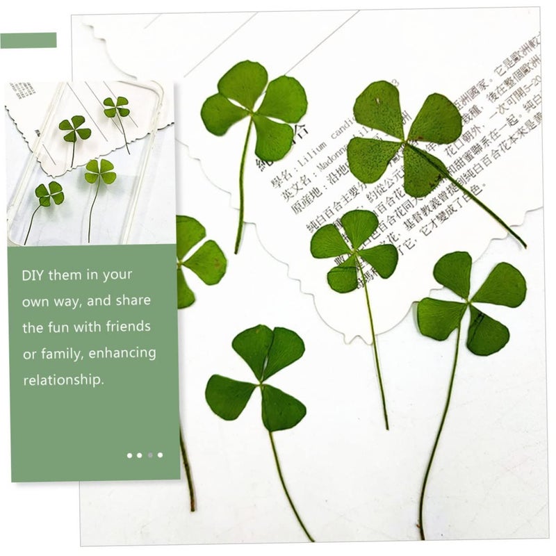24pcs Natural Dried Pressed Four Leaf Clover Lightweight Green Craft Material for DIY Scrapbooking Resin Art and Handmade Keepsakes - Image 5