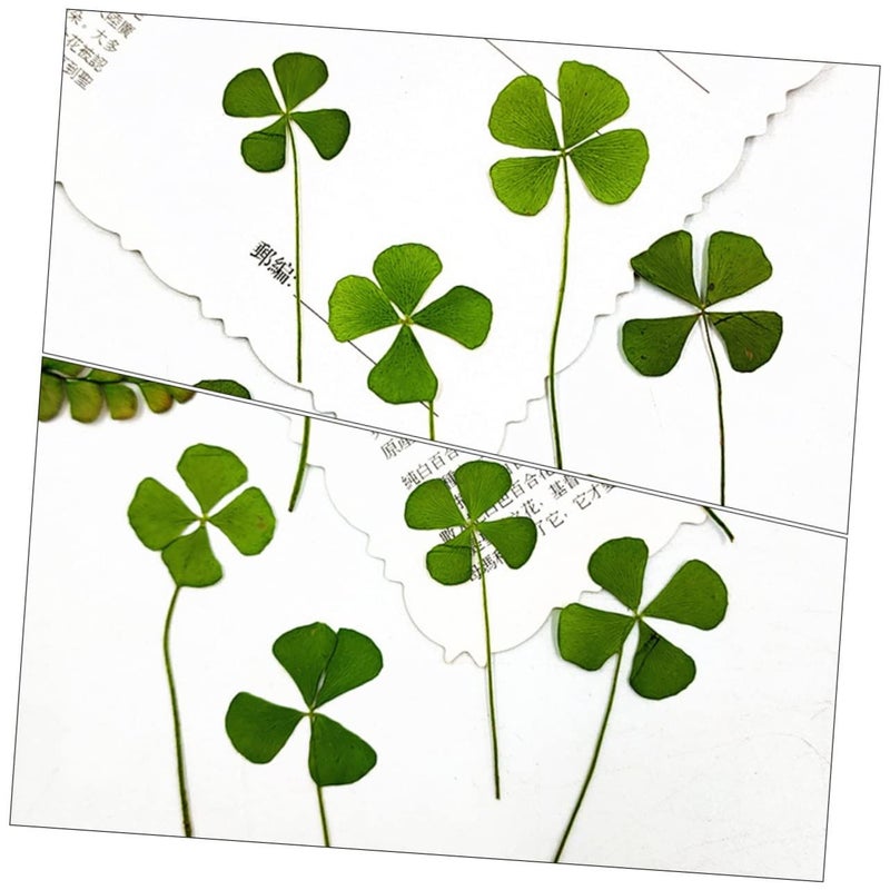 24pcs Natural Dried Pressed Four Leaf Clover Lightweight Green Craft Material for DIY Scrapbooking Resin Art and Handmade Keepsakes - Image 3