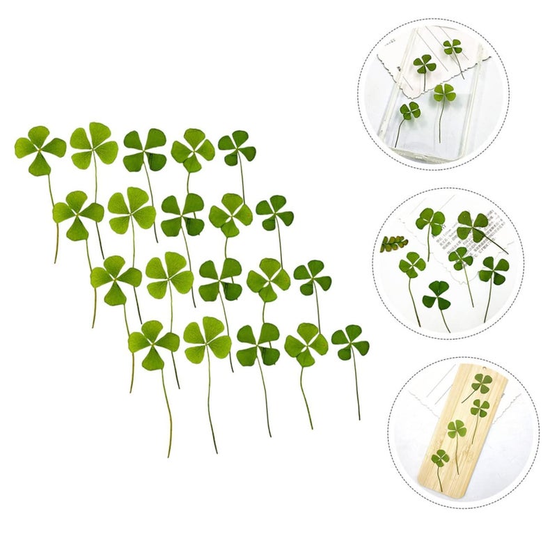 24pcs Natural Dried Pressed Four Leaf Clover Lightweight Green Craft Material for DIY Scrapbooking Resin Art and Handmade Keepsakes - Image 4