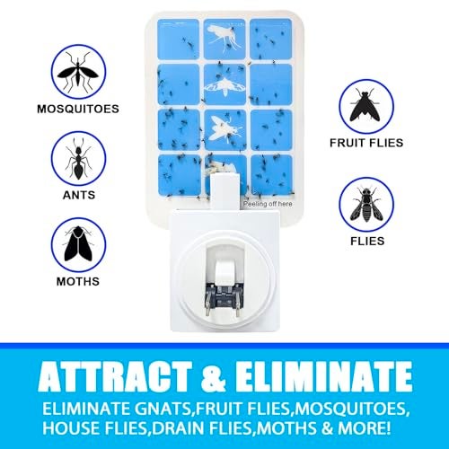 BAIMNOCM Blue Light Bug Catcher Indoor Plug in, Gnat Traps for House, Indoor Fly Trap for Fruit Fly, Moth and Mosquito, Flying Insect Catcher, 4 Device+8 Refills - Image 3