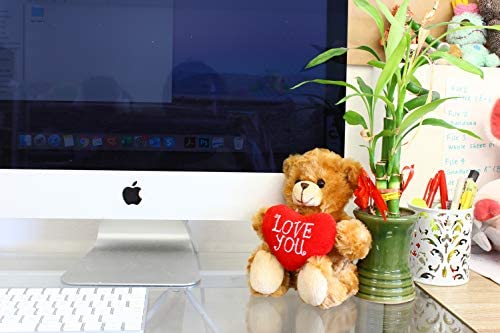 Plushland Stuffed Mocha Heart Bear - Plush Bear Toy for Kids & Adults - Embroidered Heart Pillow - Brown-6 inches (Red Heart) - Image 5