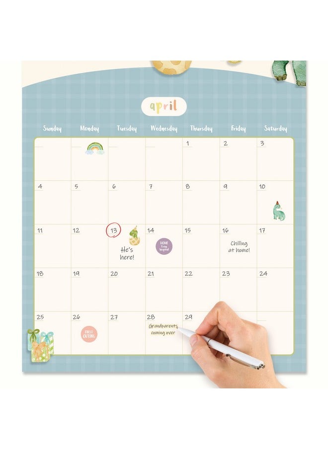 Bright Day Calendars - Baby'S First Year Calendar By Bright Day 1St Year Tracker Journal Album To Capture Precious Moments Milestone Keepsake For Baby Girl Or Boy Dinosaur - Image 1