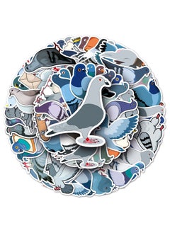Pigeon