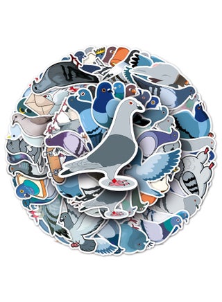 Pigeon